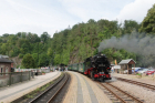 IMG_9562kl