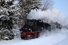 HK-Linie-99-608-vor-Dippoldiswalde-10.02.2021-Foto-Joerg-Mueller-5