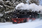 HK-Linie-99-608-vor-Dippoldiswalde-10.02.2021-Foto-Joerg-Mueller-6