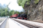 10-img_2625