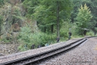 12-img_2649