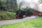 16-img_2697