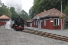 21-img_2733