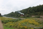 29-img_2795