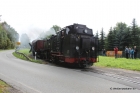 37-img_2949
