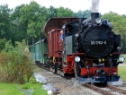 44-m_DSC_0446