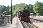IMG_2738_kl