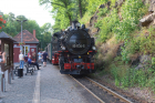 IMG_2812_kl