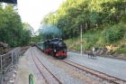 14-img_2087