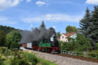 DSC_0575_800x
