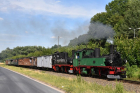 DSC_0581_800x