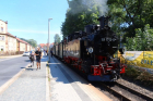 IMG_7934_800x