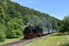 DSC_0461_800x