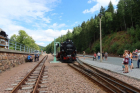 IMG_8344_800x