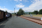 IMG_8390_800x