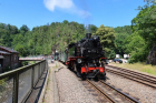 IMG_8019_800x