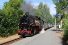 IMG_8296_800x
