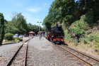 IMG_8028_800x