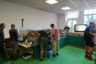 IMG_7870_800x
