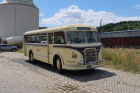 IMG_8568_800x