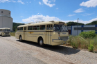 IMG_8569_800x