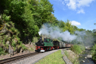 DSC_0581_1000x