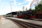 IMG_4296_kl
